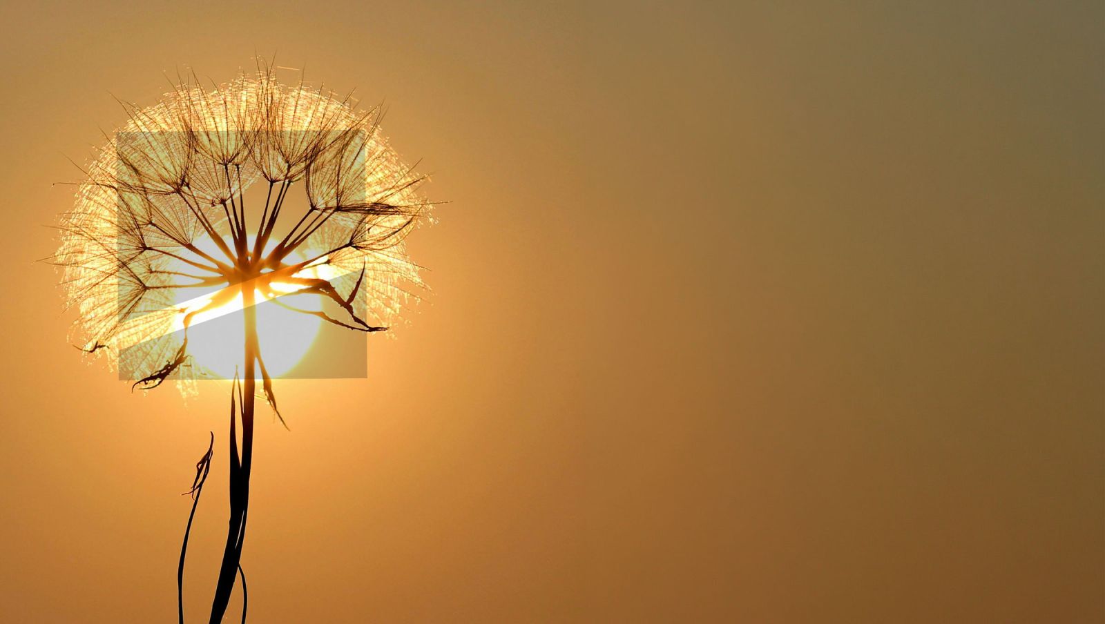 Nachhaltige Energieeffizienz durch zertifizierte Glasbeschichtung 1 hitzeschutz energiesparen Drescher folientechnik